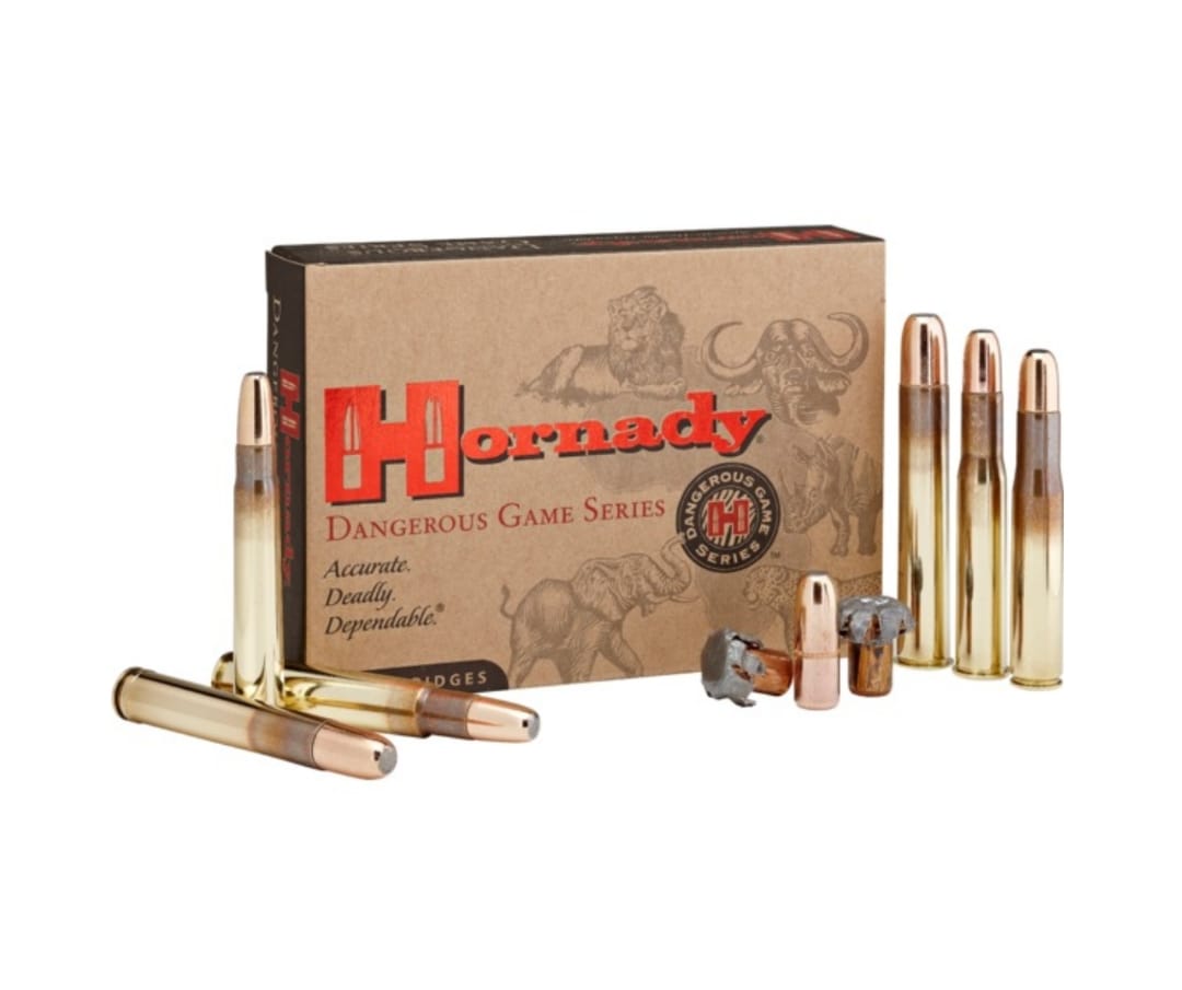 AMMO 458LOTT 500GR HORNADY DGX-BONDED